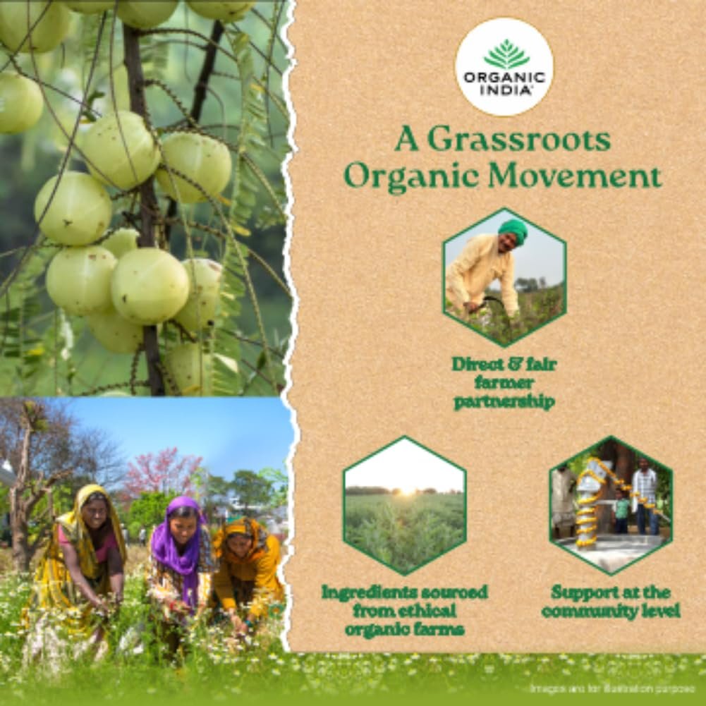 614TAekJeiL. SL1001 A TATA Product – Organic India Tulsi Green Tea Classic Loose Leaves – 100g, Stress Relieving, Uplifts Mood, Rich in Antioxidants, Blend of Rama, Krishna & Vana Tulsi, Certified Organic