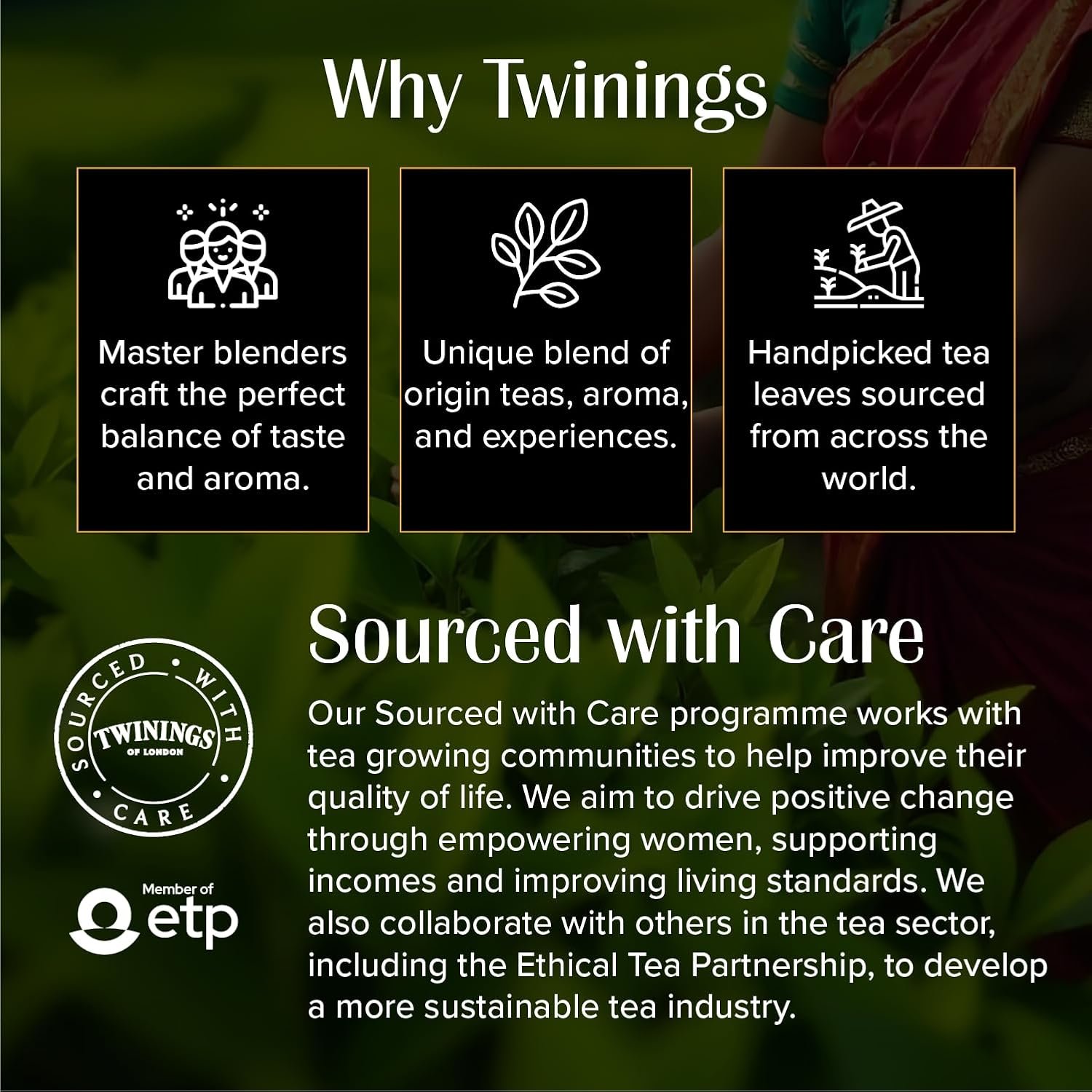 71ilhff418l. sl1500 Twinings Assam Second Flush CTC Tea, 250g | Pack of 1 | 100% Assam Tea | Strong Flavour Strength | For Malty, Robust Flavour | No Added Colour
