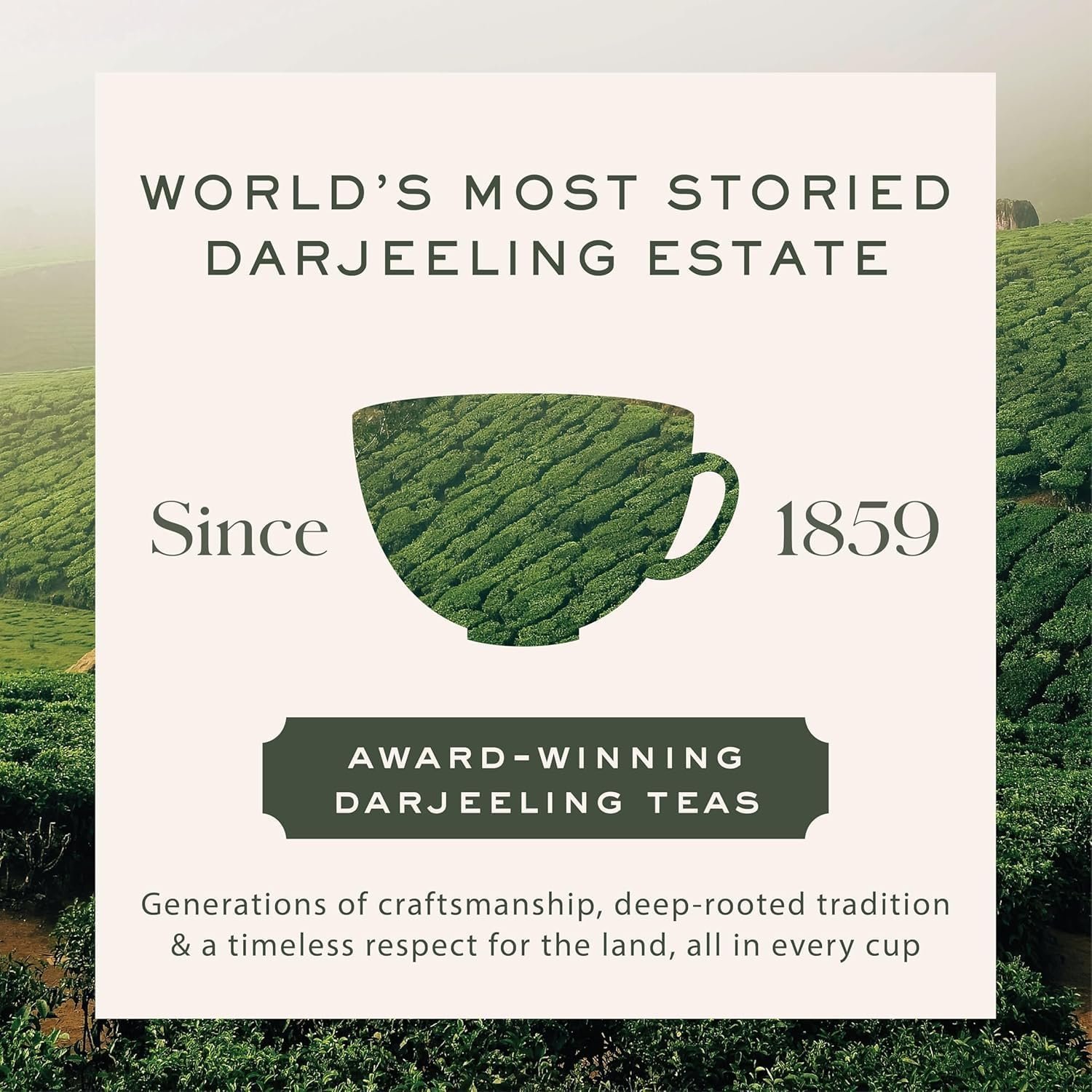 71ih9uzckzl. sl1500 Makaibari Smoky Mountain Roasted Darjeeling Black 100 Gm Loose Leaf Tin Caddy | Single States Whole Leaves | Rich Roasted Flavour