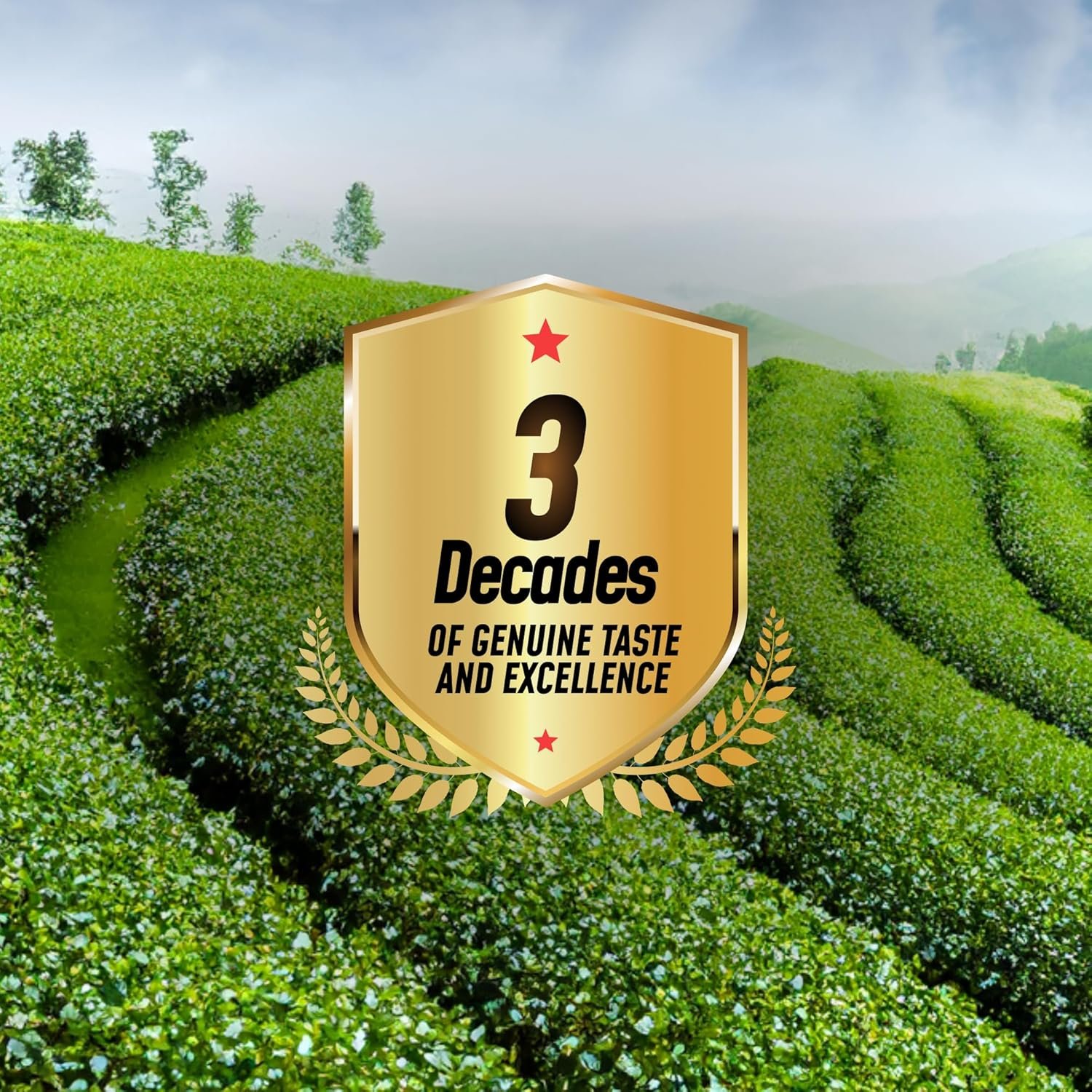 81nssyllkbl. sl1500 Swarg Dust Tea | Strong Assam Chai | 5 KG