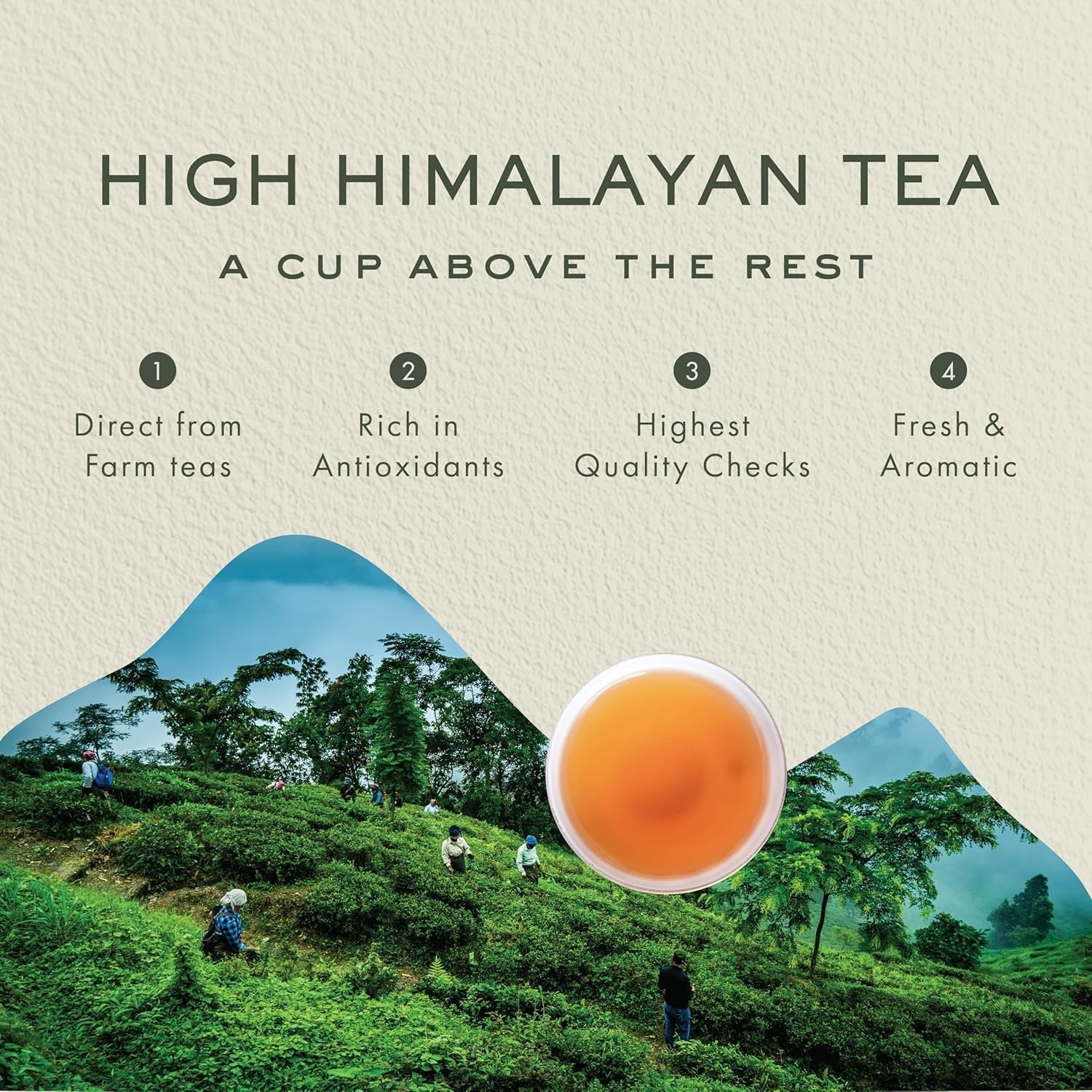 81s ko16h0l. sl1500 Makaibari Smoky Mountain Roasted Darjeeling Black 100 Gm Loose Leaf Tin Caddy | Single States Whole Leaves | Rich Roasted Flavour