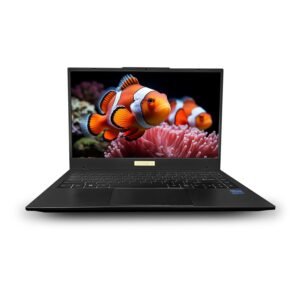 FUTOPIA Ultimus APEX5 Laptop Intel core i5 12th Gen 1235U Laptop 8GB RAM 512GB SSD Expandable~1TB FHD IPS 14.1 Win 11 Home ‎DDR4 SDRAM 3xUSB ‎SD Card Slot Iris Xe Graphics MS Office 365 (Trial) Black